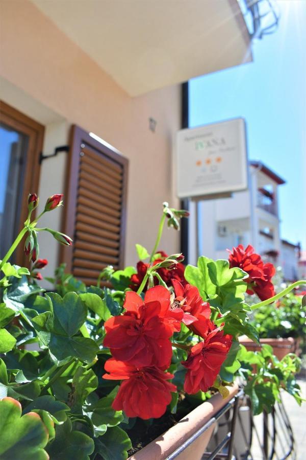 Apartments & Rooms Ivana Rovinj Chambre photo