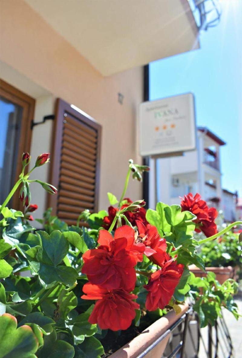 Apartments & Rooms Ivana Rovinj Chambre photo